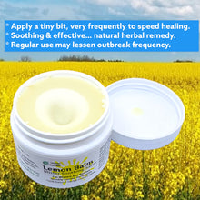 Load image into Gallery viewer, Lemon Balm Blister Soothing Salve