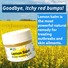 Load image into Gallery viewer, Lemon Balm Blister Soothing Care - 1/4 oz.