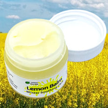Load image into Gallery viewer, Lemon Balm Blister Soothing Care - 1/4 oz.