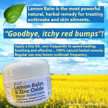 Load image into Gallery viewer, Lemon Balm & Zinc Oxide Blister Relief Salve