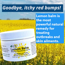 Load image into Gallery viewer, Lemon Balm Blister Soothing Salve