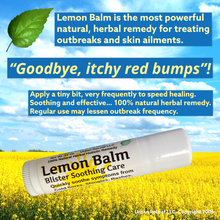 Load image into Gallery viewer, Lemon Balm Blister Soothing Care Stick