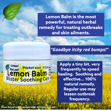 Load image into Gallery viewer, Lemon Balm Blister Soothing Care - Pocket Size